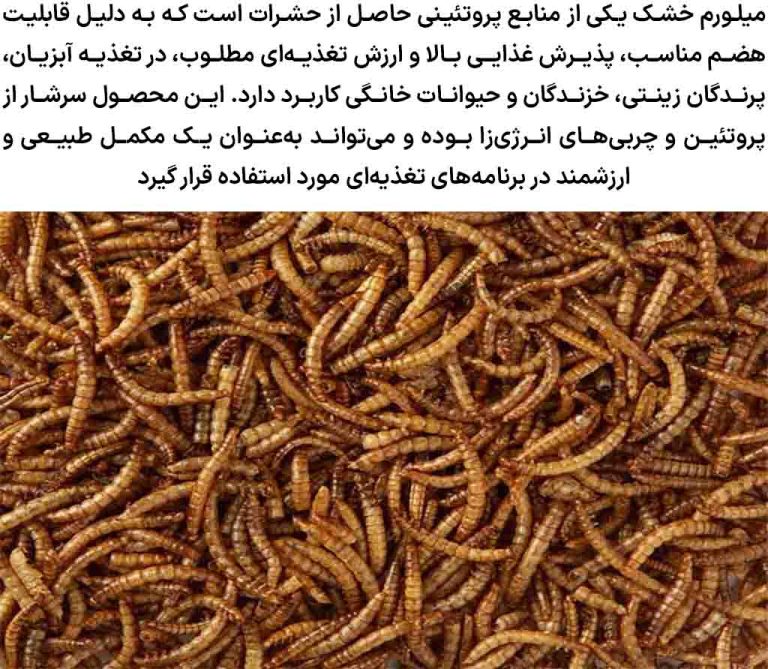 میلورم
