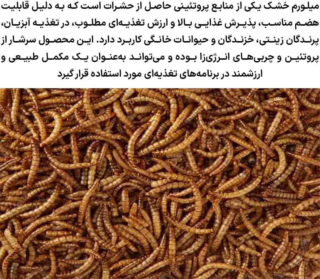 میلورم